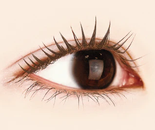 Canmake Metal Look Mascara - Image 5