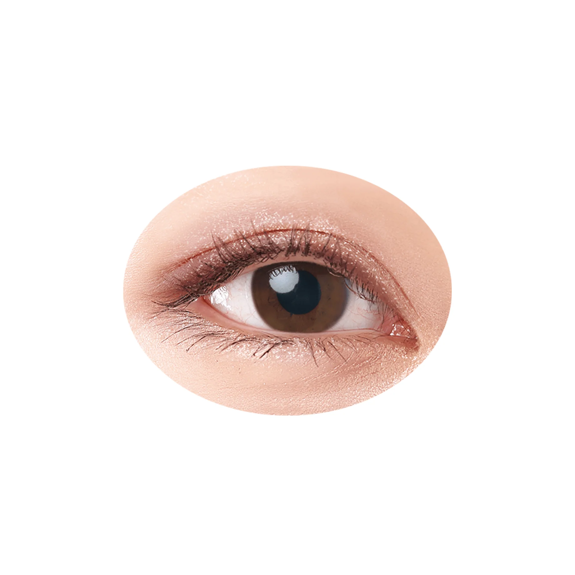 Cezanne Beige Tone Eyeshadow - Image 10