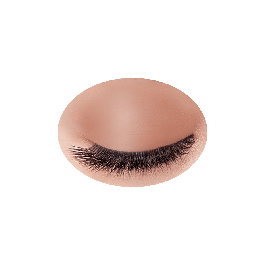 Cezanne Single Color Eyeshadow - Image 6