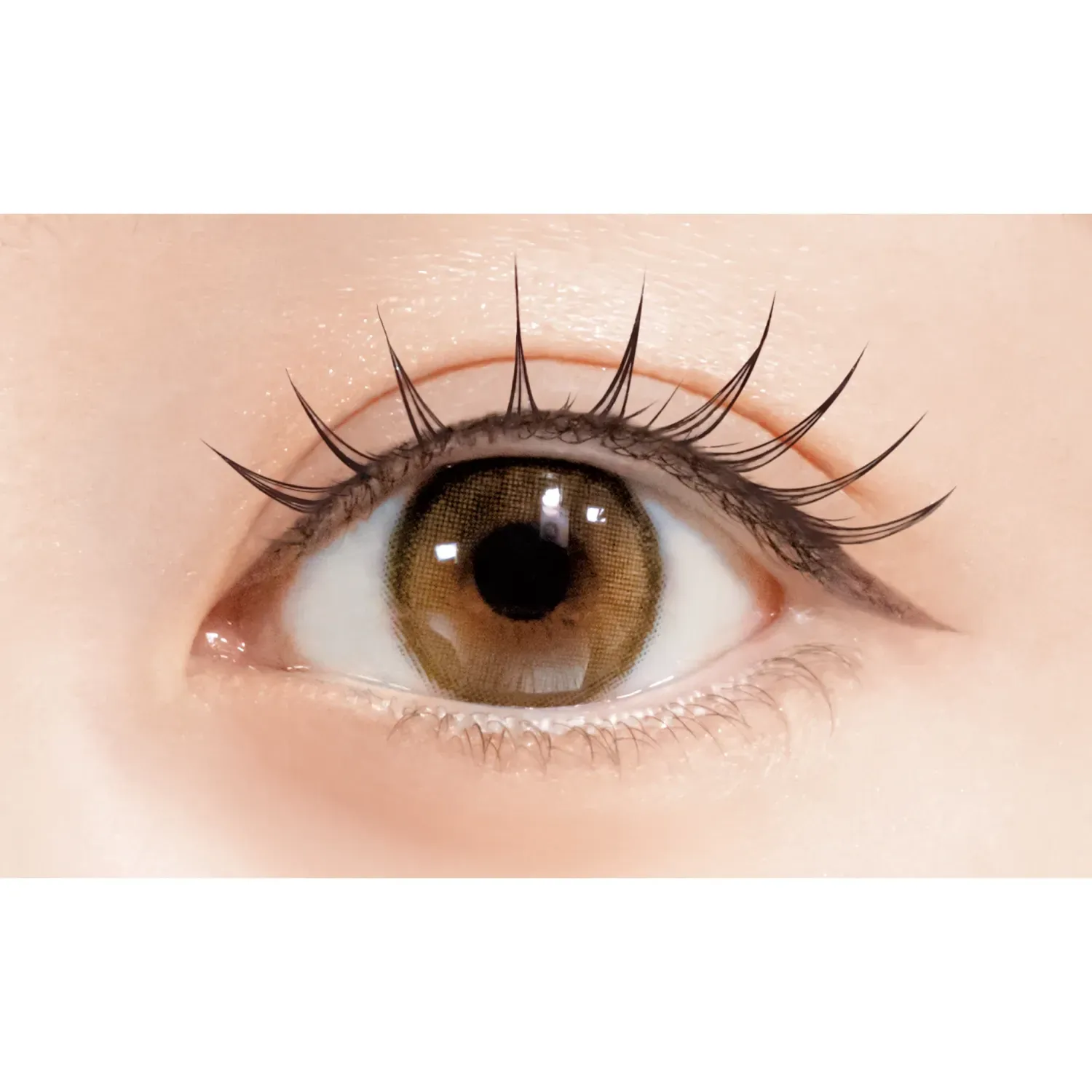 D-UP Lash Focus - Image 18