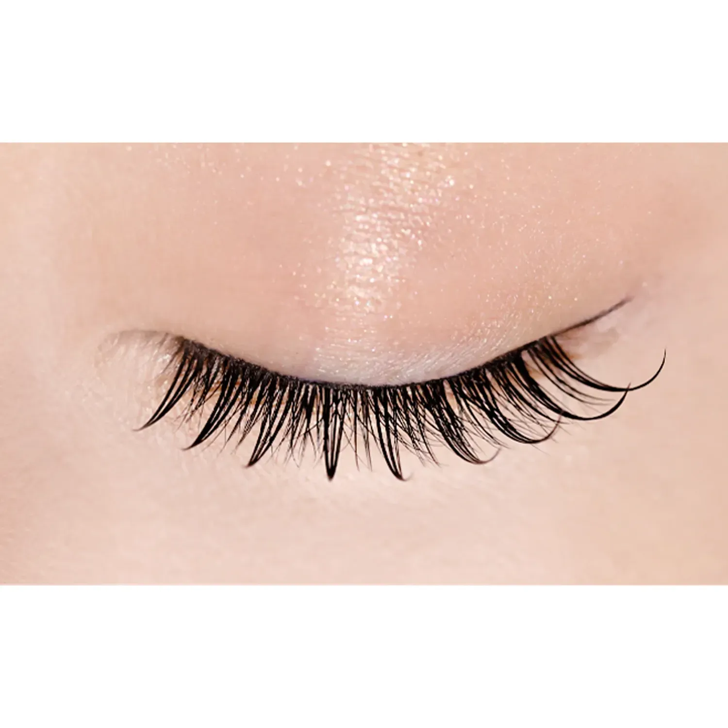 D-UP Lash Focus - Image 20