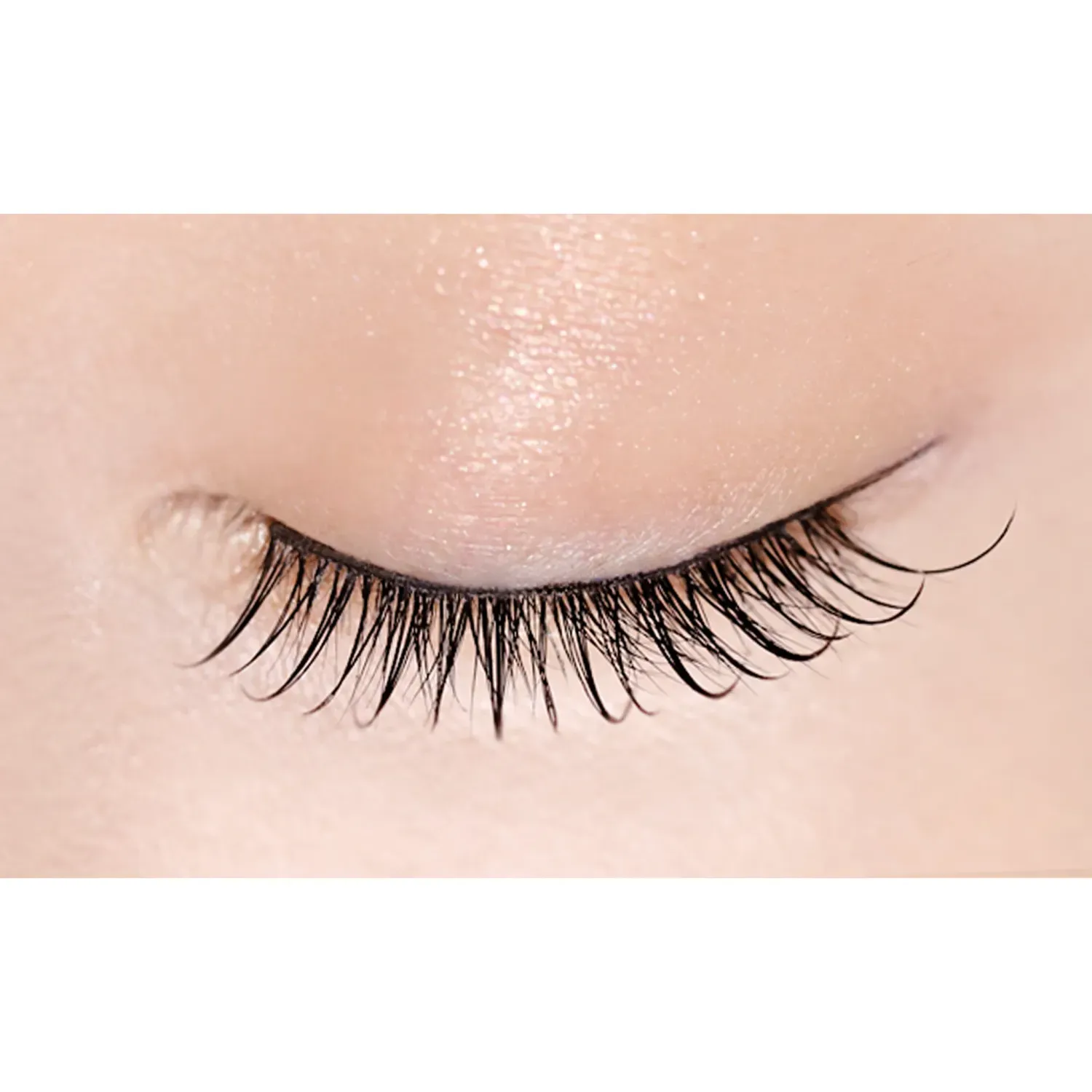 D-UP Lash Focus - Image 23