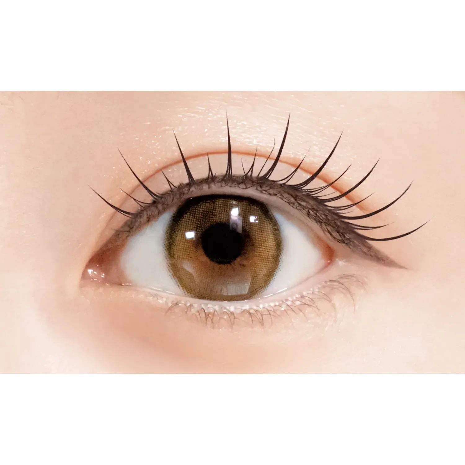 D-UP Lash Focus - Image 24