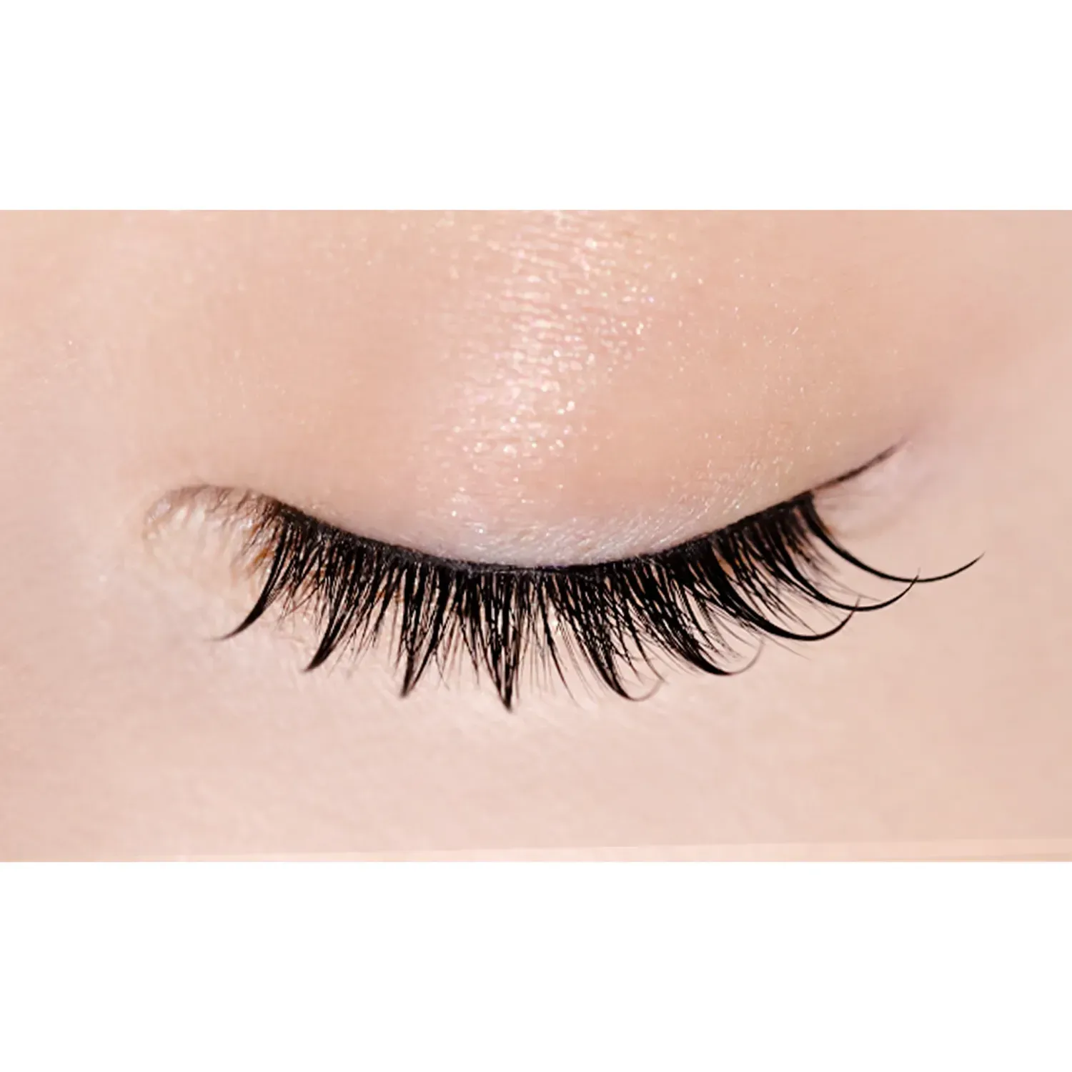 D-UP Lash Focus - Image 26