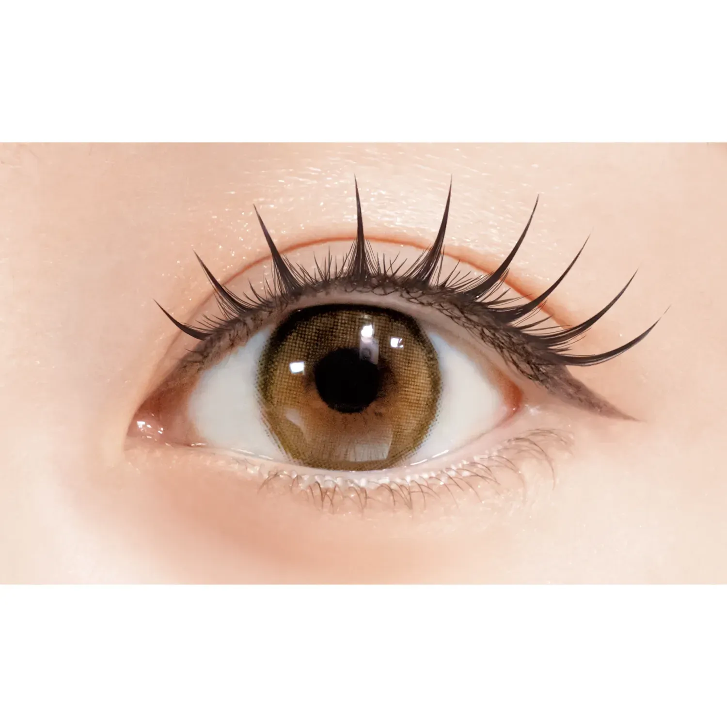 D-UP Lash Focus - Image 27