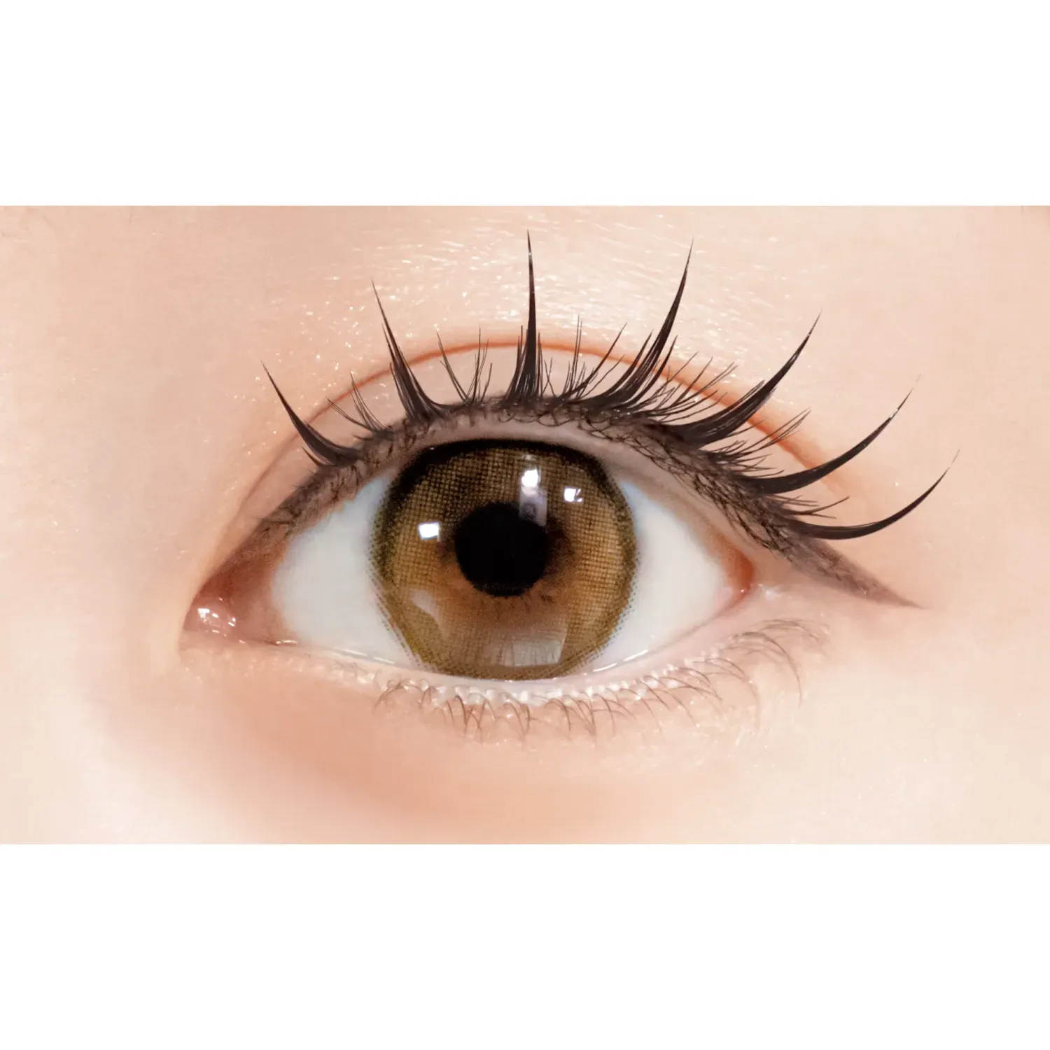 D-UP Lash Focus - Image 30