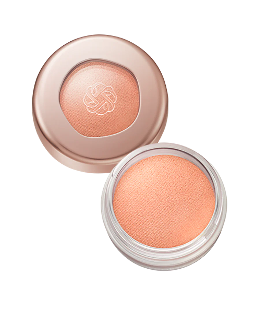 Decorte Eye Glow Gem Skin Shadow - Image 117