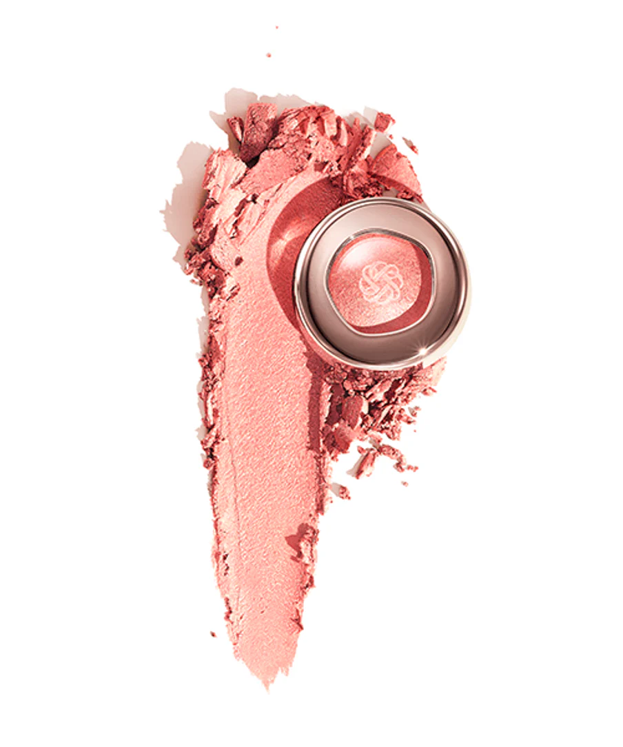 Decorte Eye Glow Gem Skin Shadow - Image 16