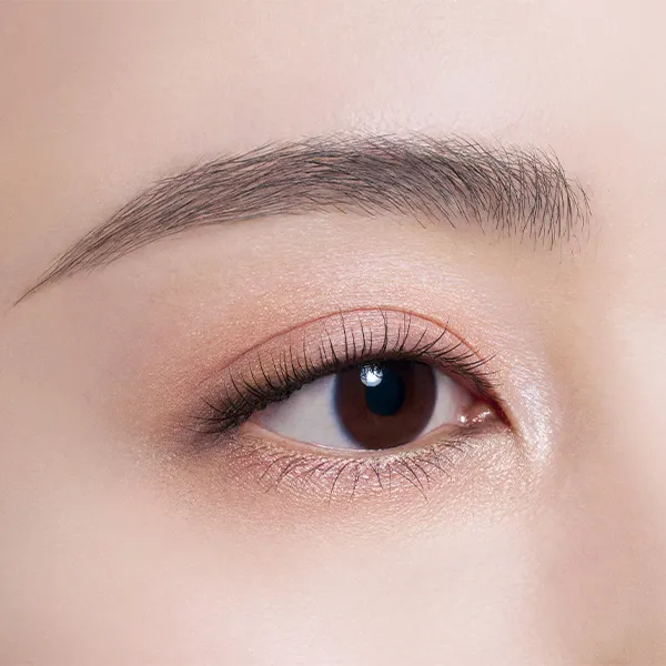Decorte Skin Shadow Designing Palette - Image 24