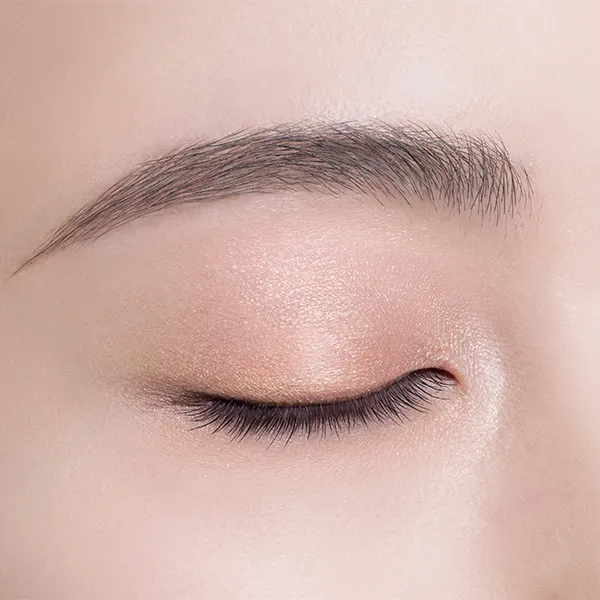 Decorte Skin Shadow Designing Palette - Image 31