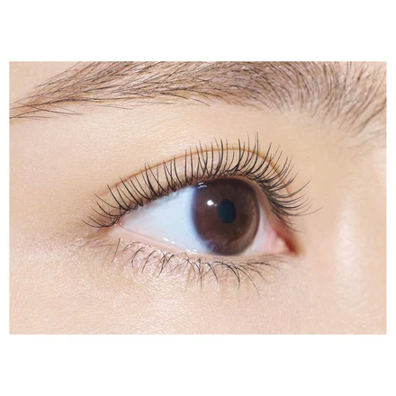 Dejavu Lash Curl Keeper - Image 3