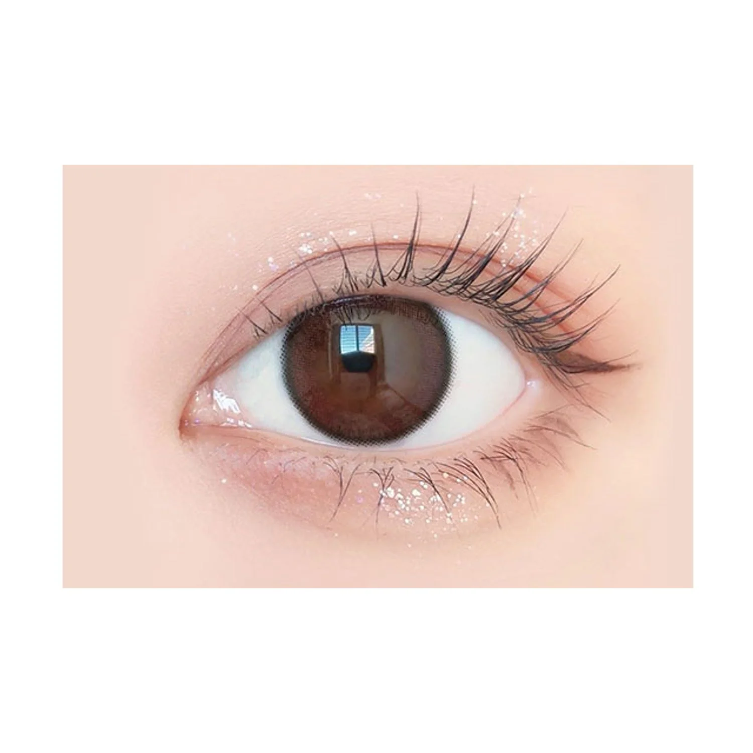 Envie UV One-Day Color Contact Lenses Chameau Brown - Image 2