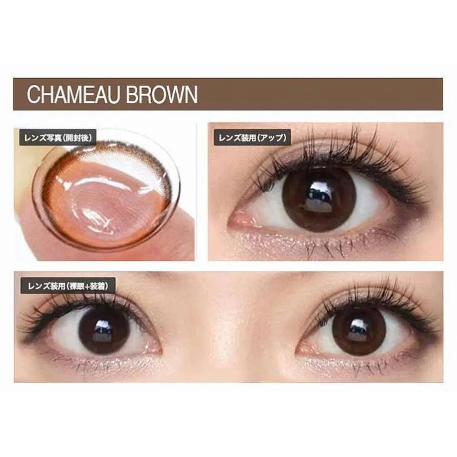 Envie UV One-Day Color Contact Lenses Chameau Brown - Image 6