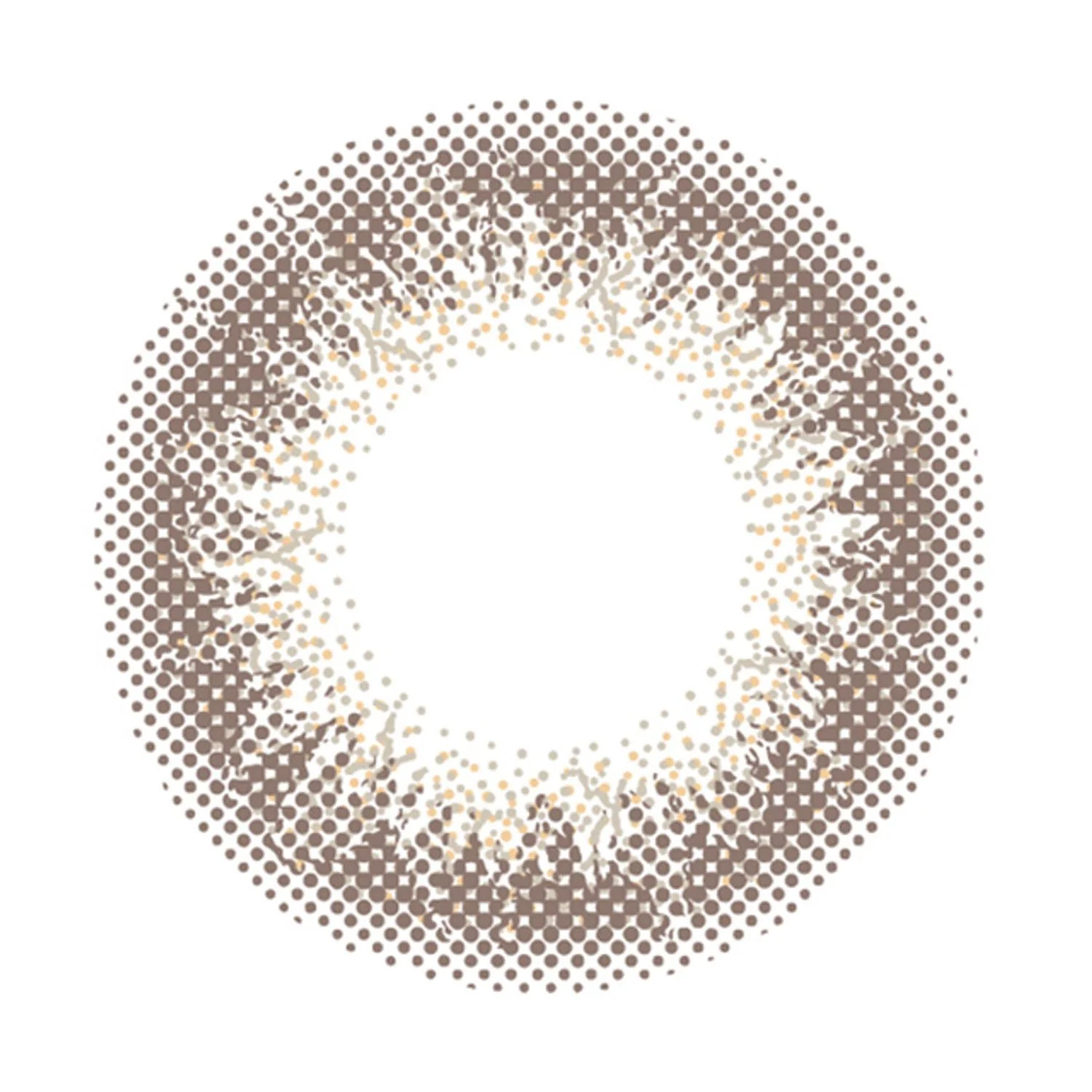 Envie UV One-Day Color Contact Lenses Champagne Gray - Image 3