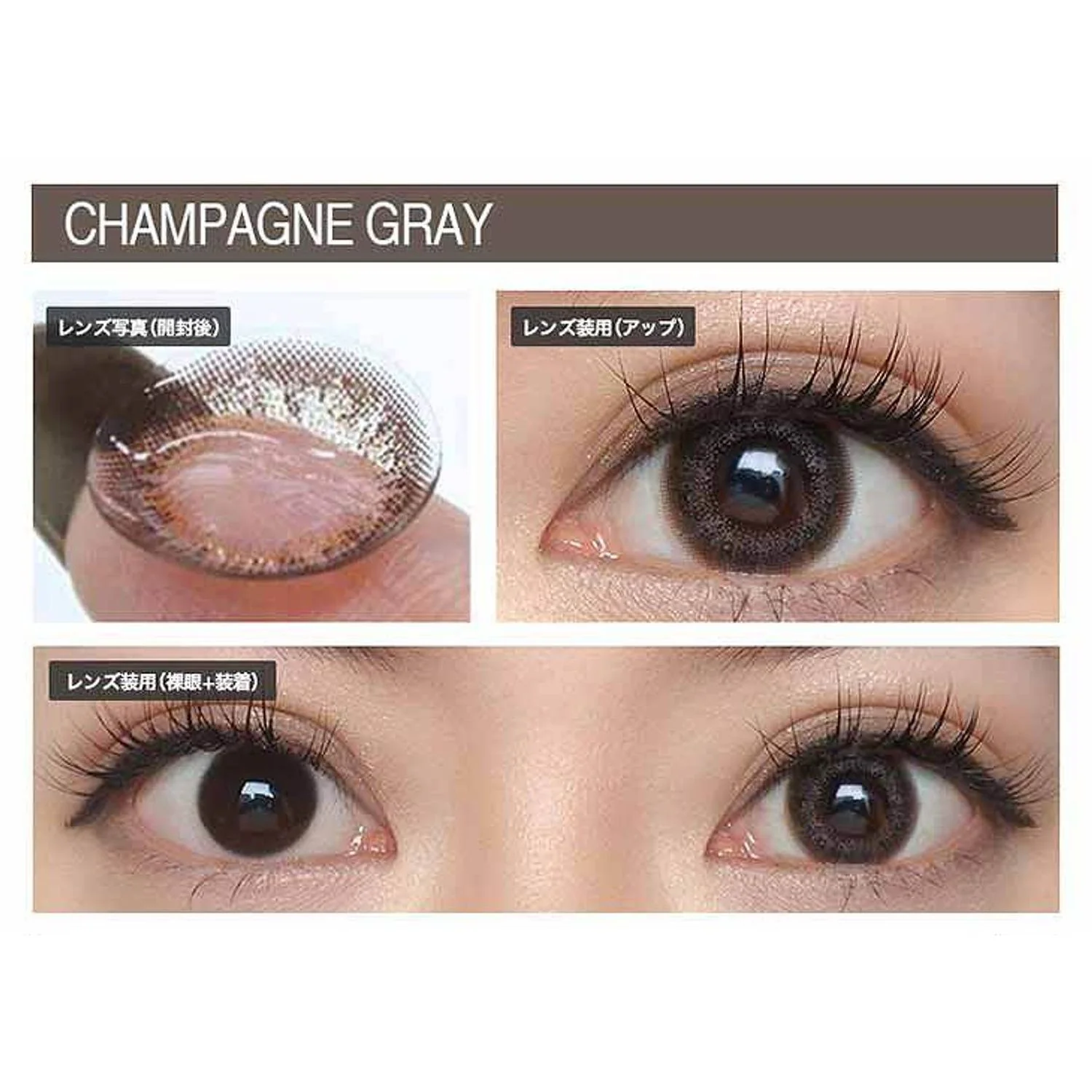 Envie UV One-Day Color Contact Lenses Champagne Gray - Image 5