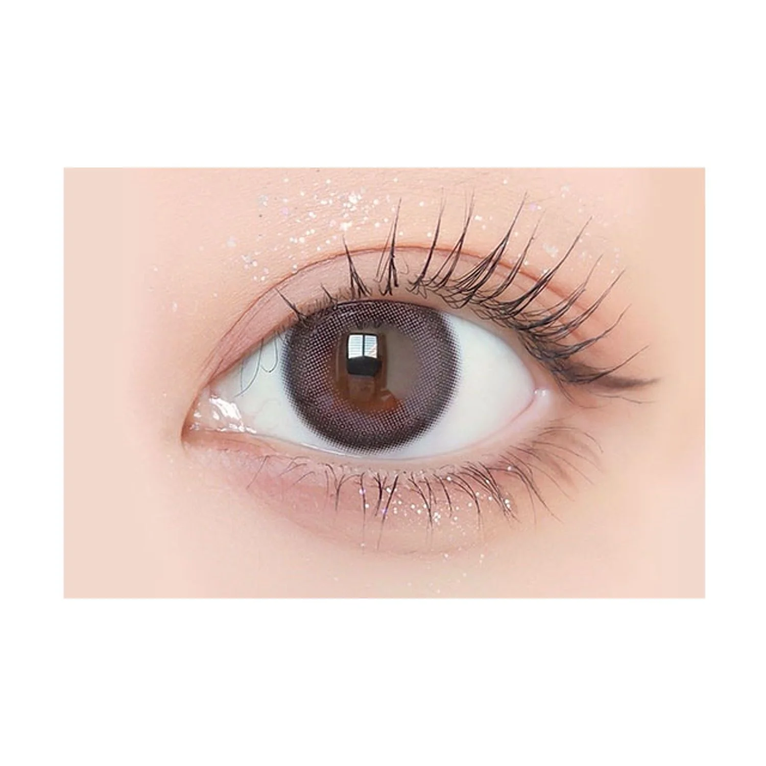 Envie UV One-Day Color Contact Lenses Minuit Shell - Image 2