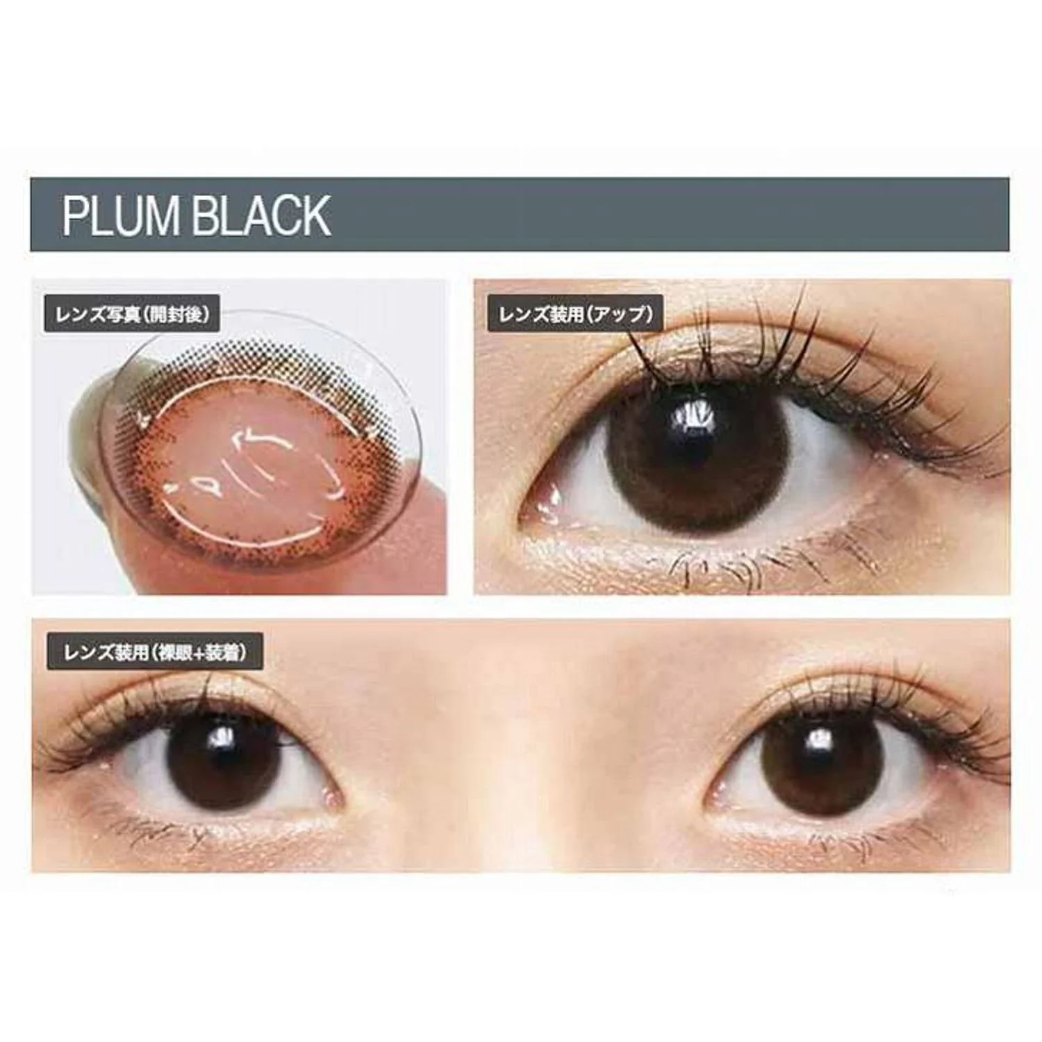 Envie UV One-Day Color Contact Lenses Plum Black - Image 6