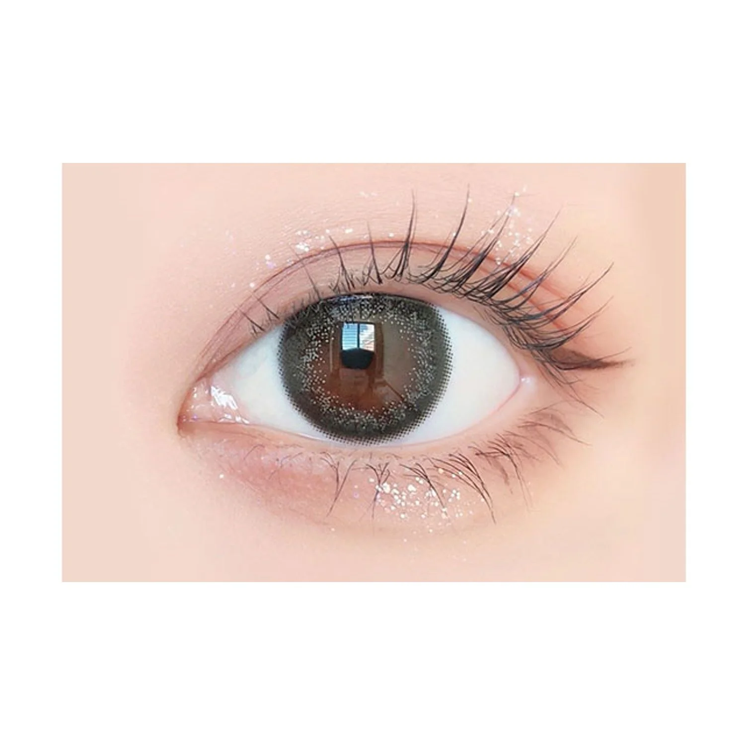 Envie UV One-Day Color Contact Lenses Shade Brown - Image 2