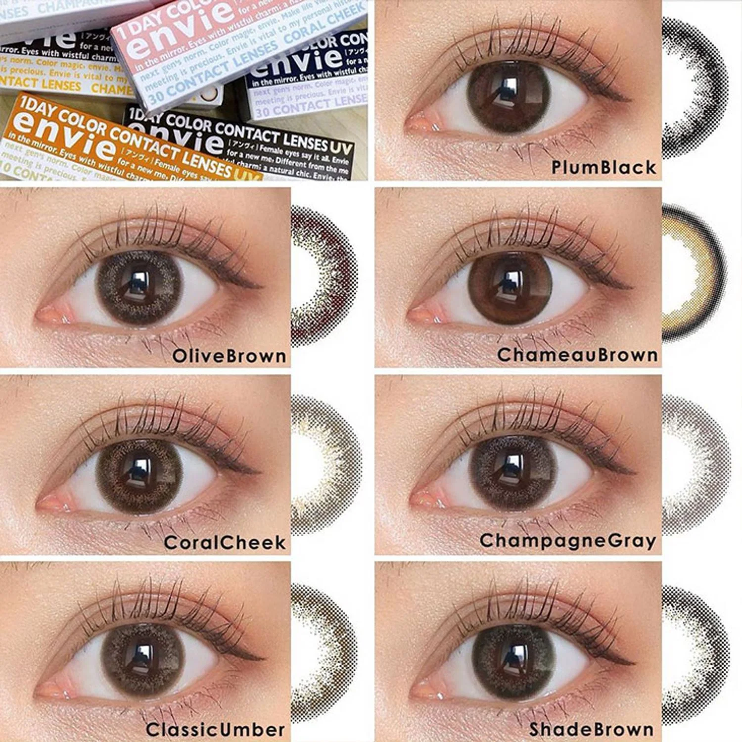 Envie UV One-Day Color Contact Lenses Shade Brown - Image 6