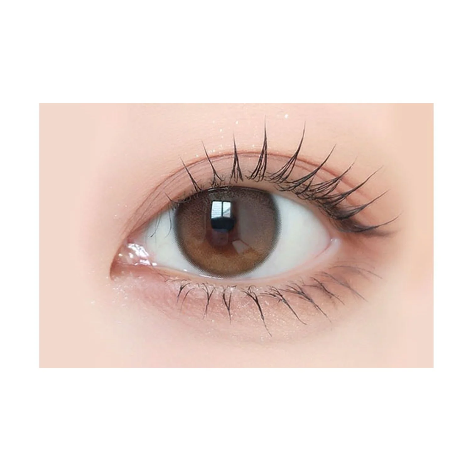 Envie UV One-Day Color Contact Lenses Water Mocha Beige - Image 2