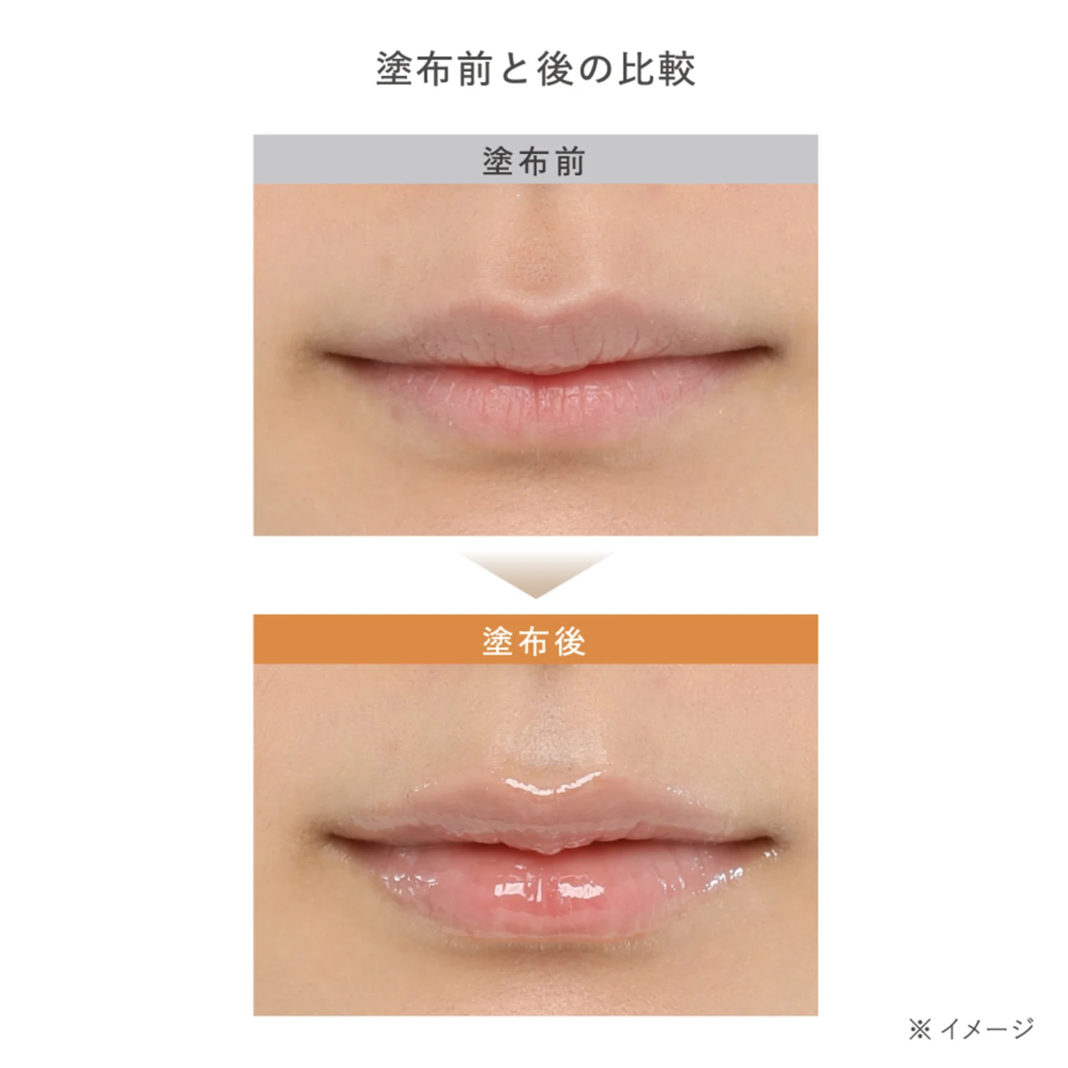 Est The Lip Serum - Image 4