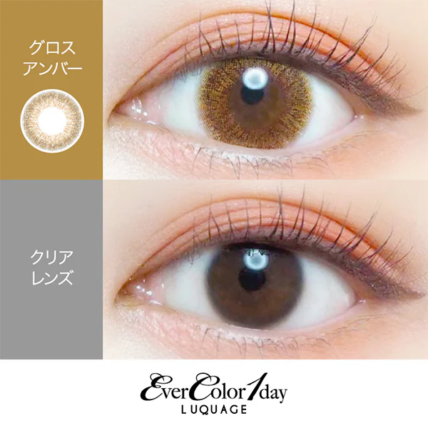 EverColor 1 Day Luquage Contact Lenses Gloss Amber - Image 3