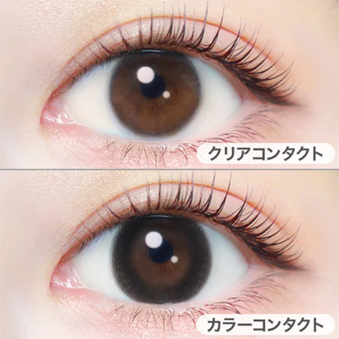 EverColor 1 Day Natural Contact Lenses Natural Black - Image 2