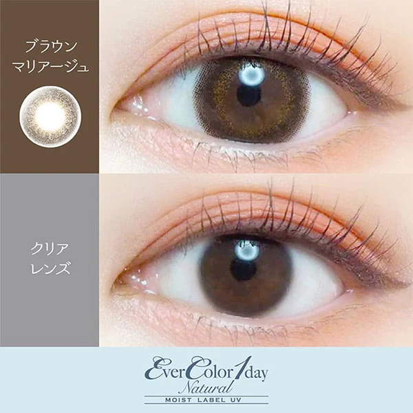 EverColor 1 Day Natural Moist Label UV Contact Lenses Brown Mariage - Image 3