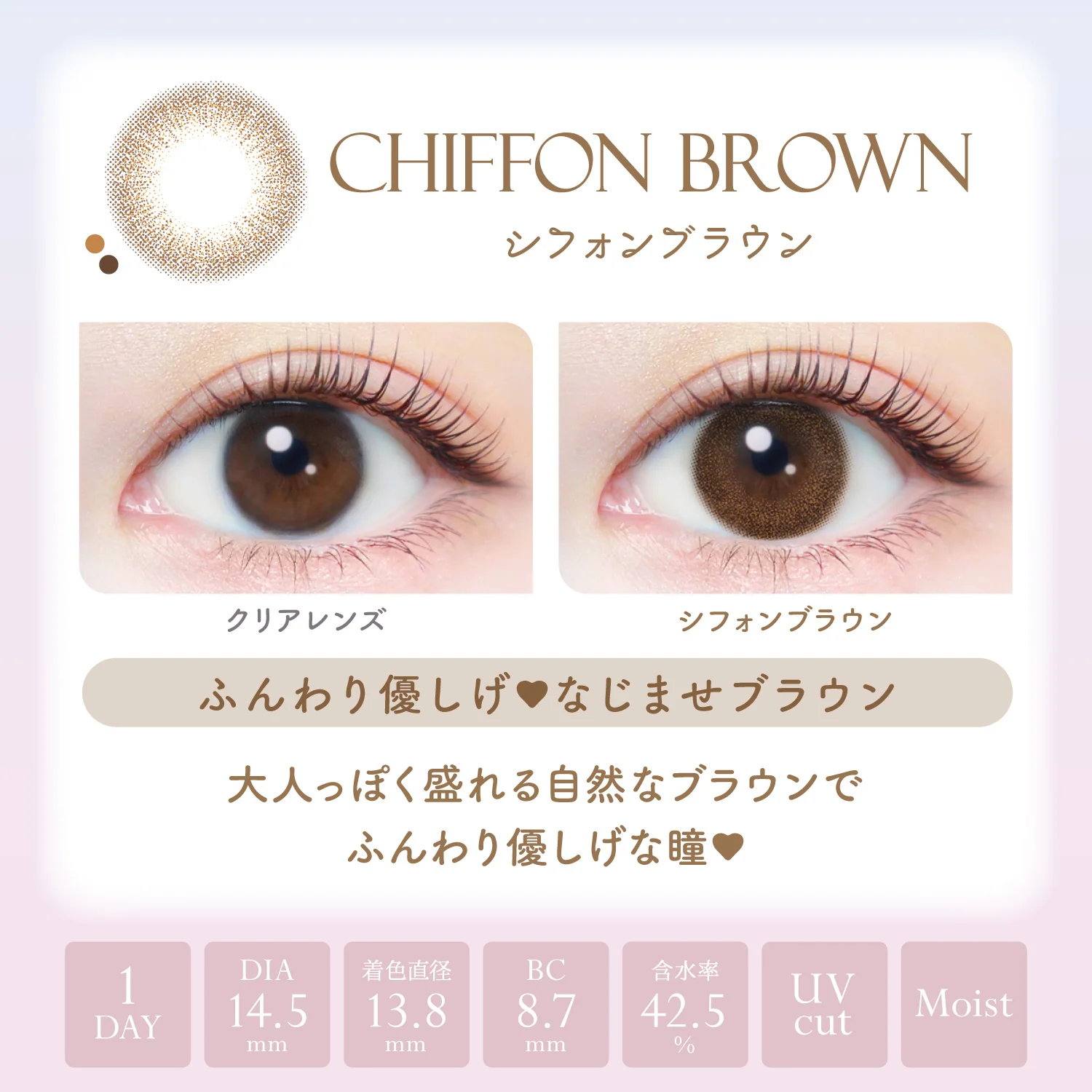 EverColor 1 Day Natural Moist Label UV Contact Lenses Chiffon Brown - Image 3
