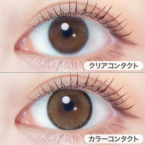 EverColor Monthly Contact Lenses Apricot Brown - Image 2