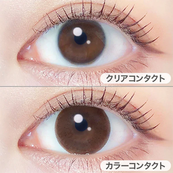 EverColor Monthly Contact Lenses Natural Brown - Image 2