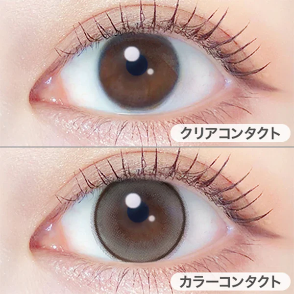 EverColor Monthly Contact Lenses Pearl Snow Gray - Image 2