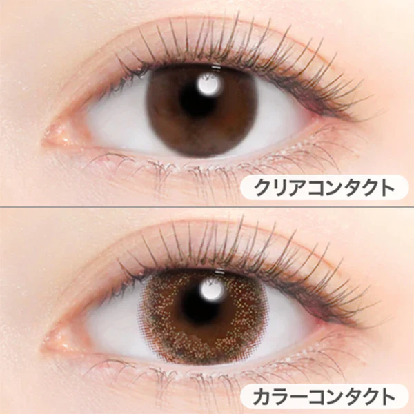 Evercolor Monthly Eye Genic Contact Lenses Sepia Mist - Image 2