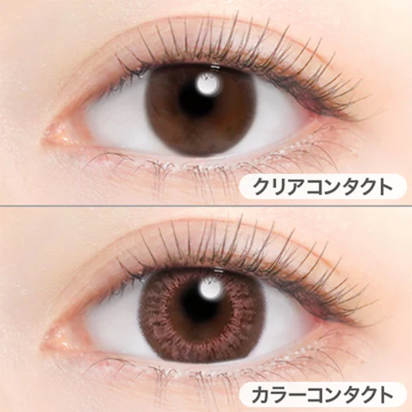 Evercolor Monthly Eye Genic Contact Lenses Shimmer Chocolat - Image 2