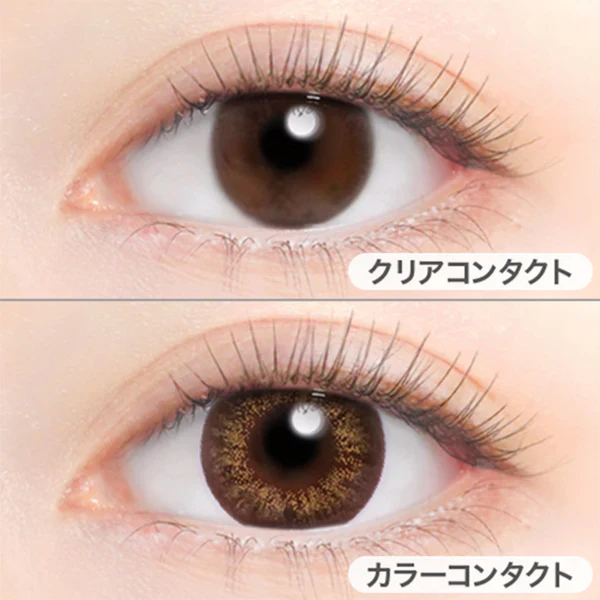 Evercolor Monthly Eye Genic Contact Lenses Shiny Rich - Image 2