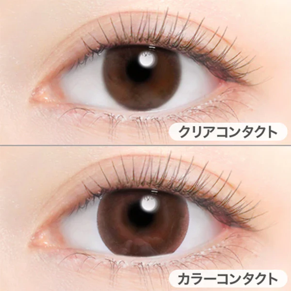 Evercolor Monthly Eye Genic Contact Lenses Sleek Brown - Image 2