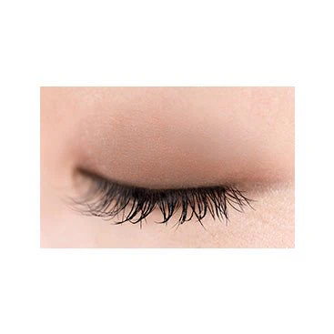 Excel Eye Planner Eyeshadow - Image 36