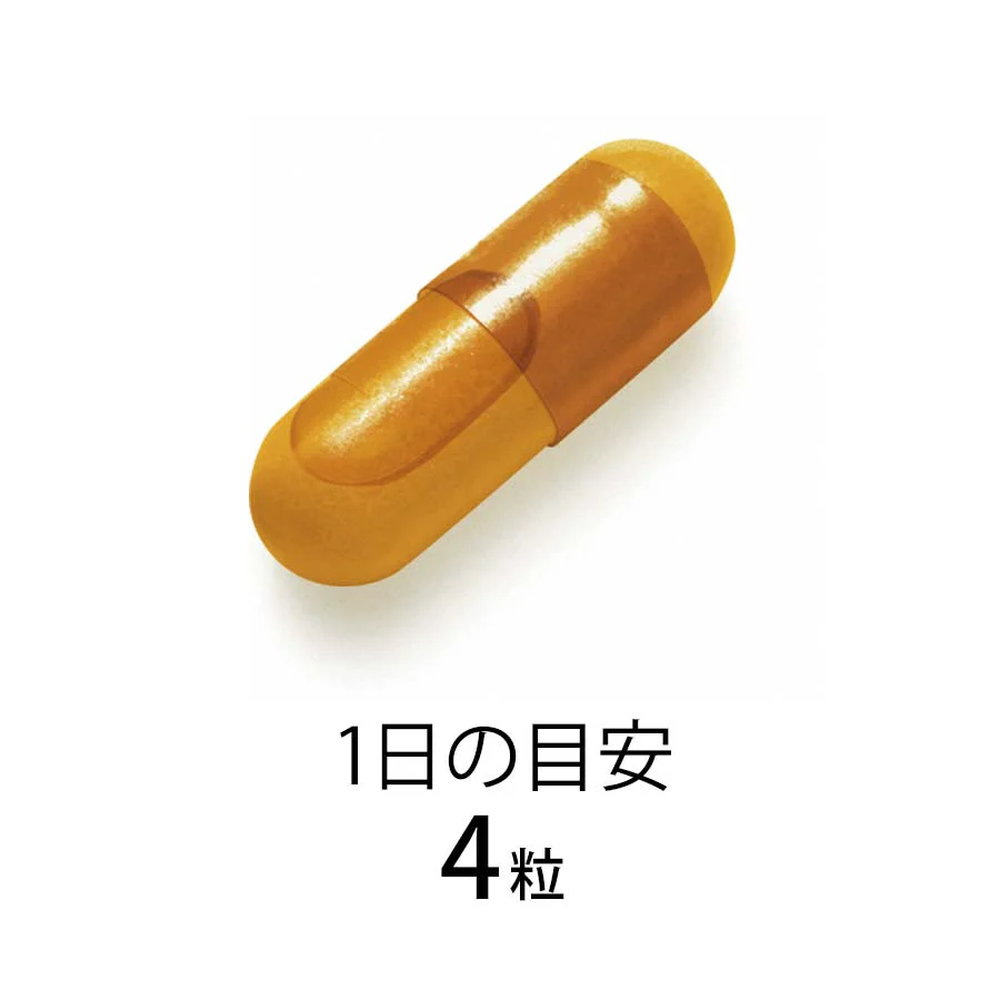 Fancl NMN×CoQ10 - Image 2