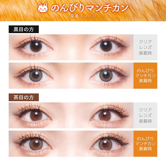 Flurry by Colors Contact Lenses Lazy Munchkin - Image 5