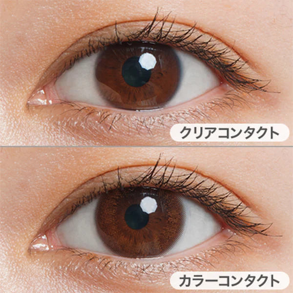 LuMia Comfort 1 Day Contact Lenses Puff Brown - Image 2