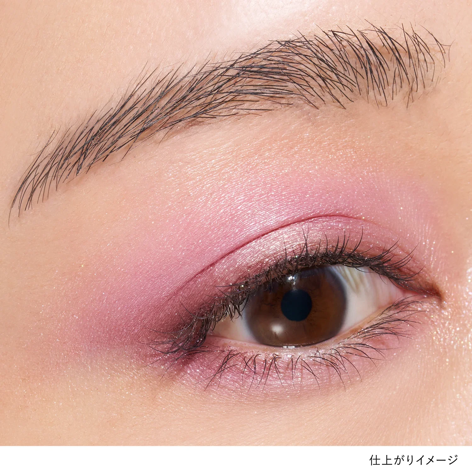 Lunasol Eye Coloration N - Image 29