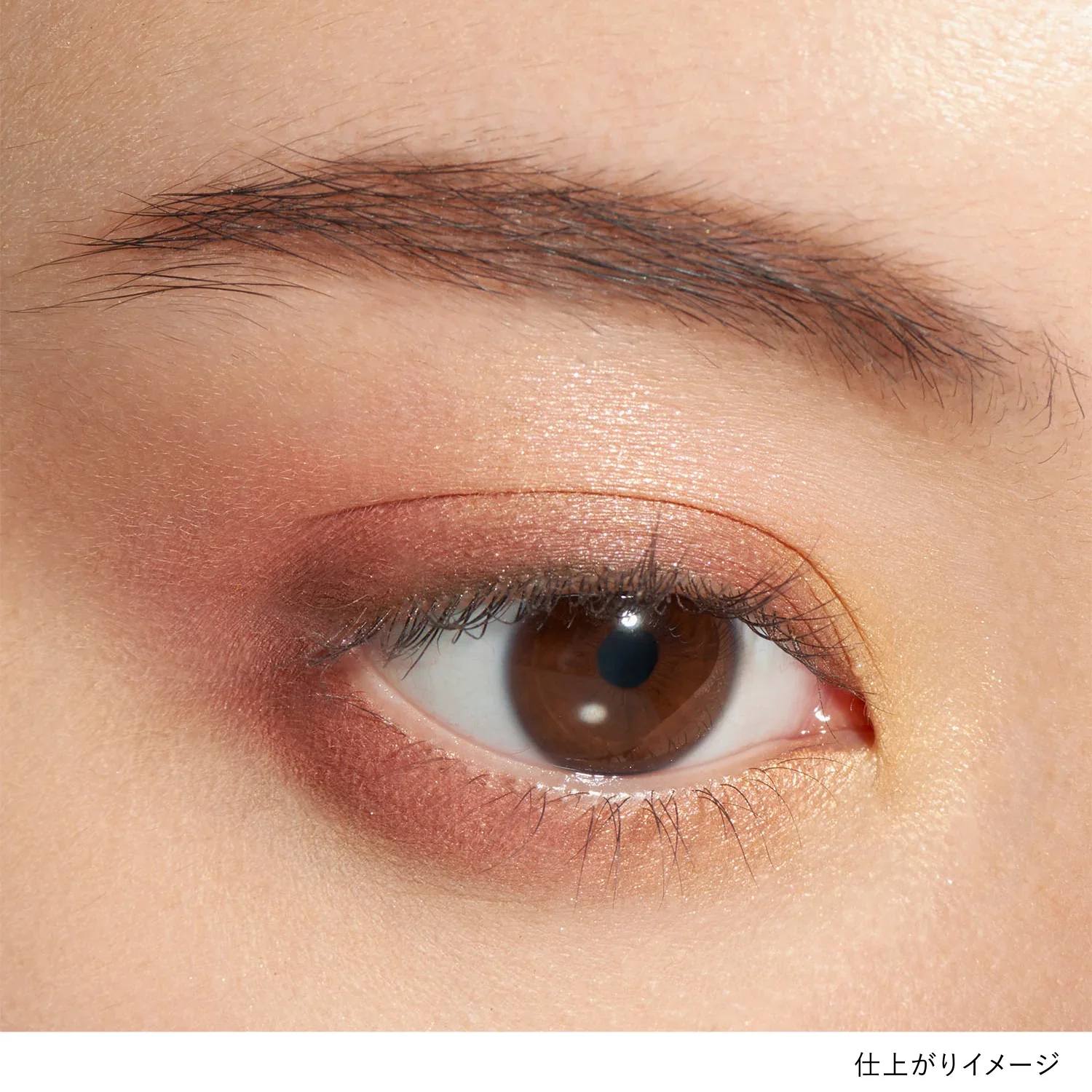 Lunasol Eye Coloration N - Image 37
