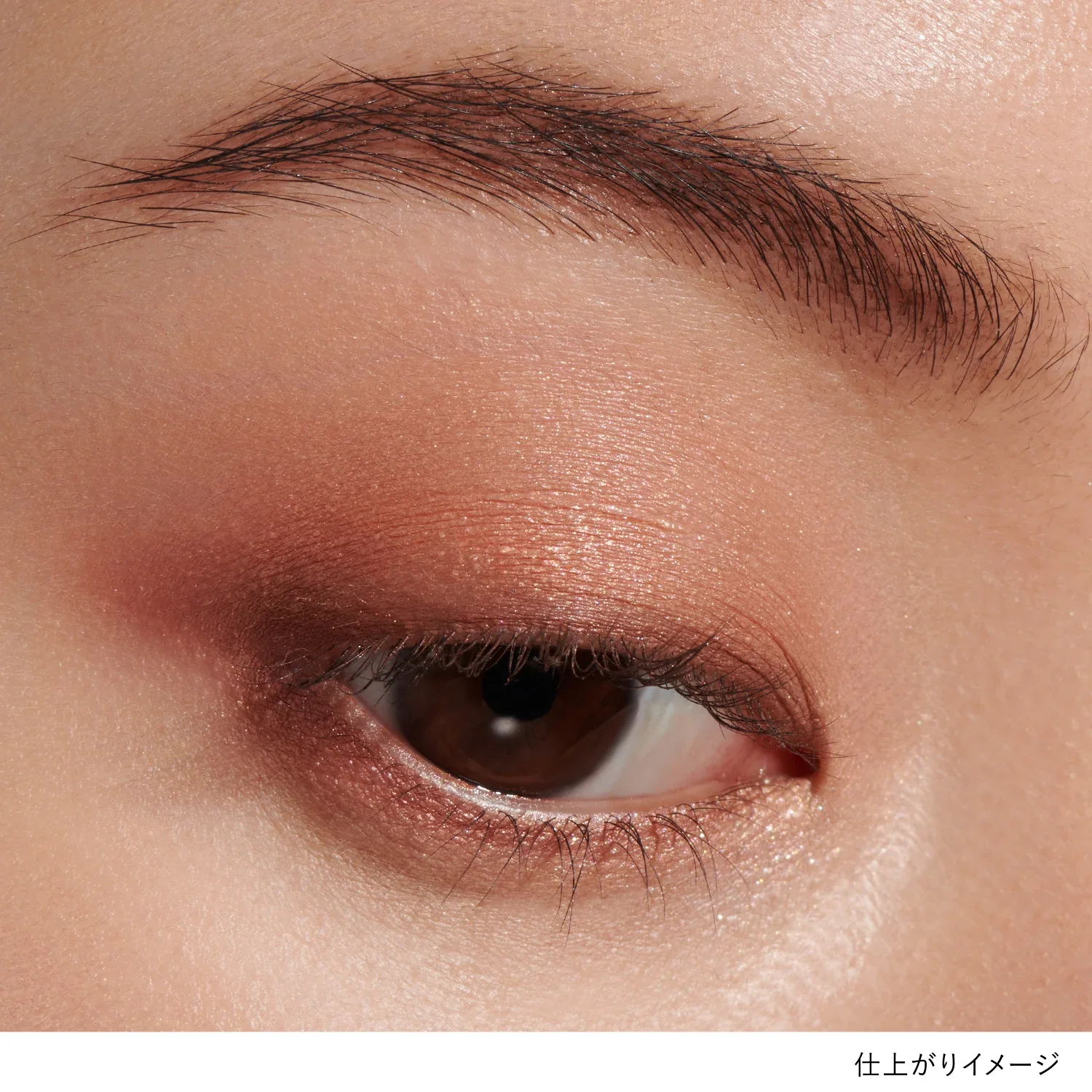 Lunasol Eye Coloration N - Image 46