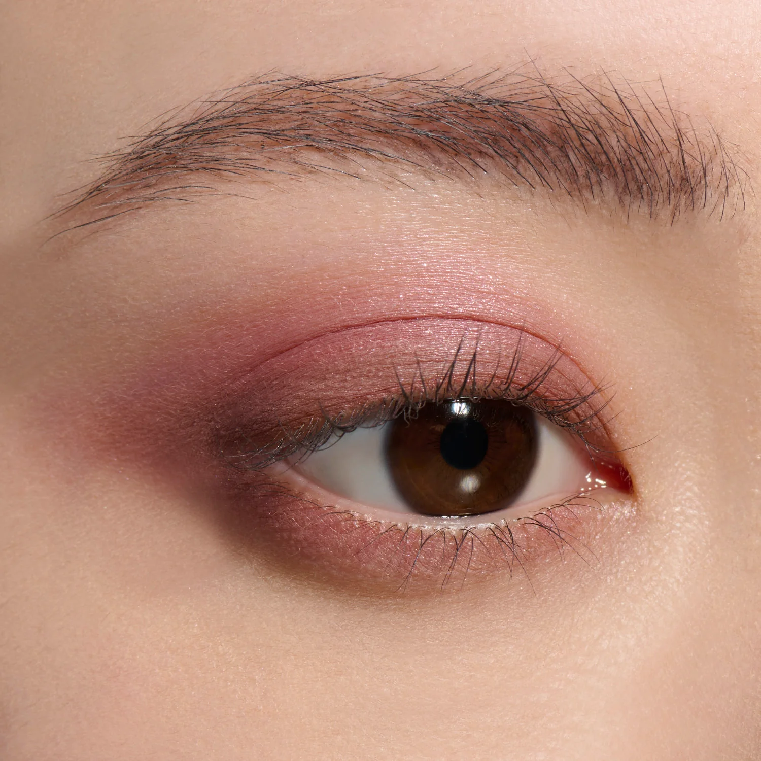 Lunasol Eye Coloration N - Image 5