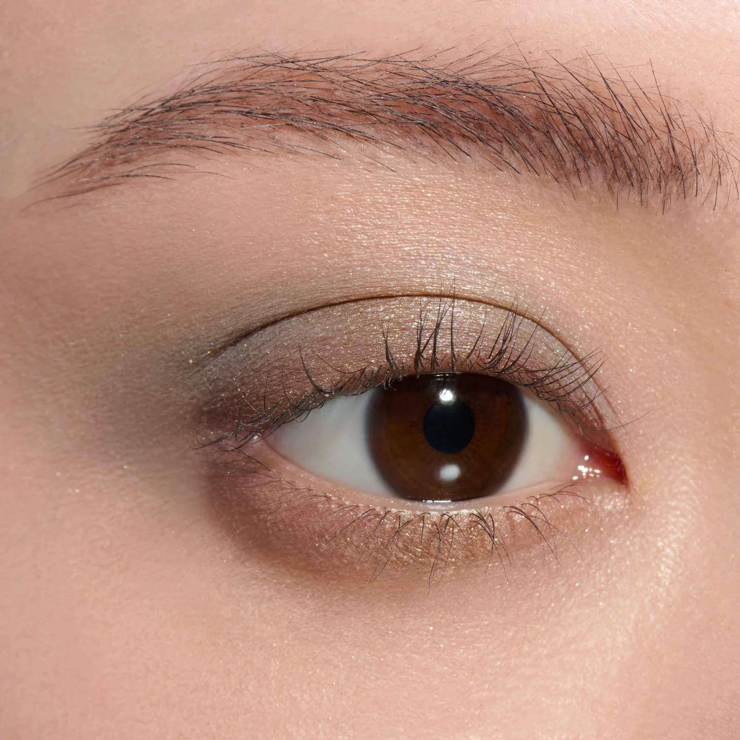 Lunasol Eye Coloration N - Image 8