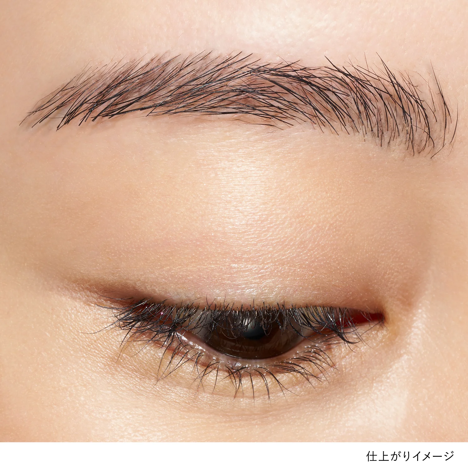 Lunasol Modeling Eyebrow Liner - Image 3