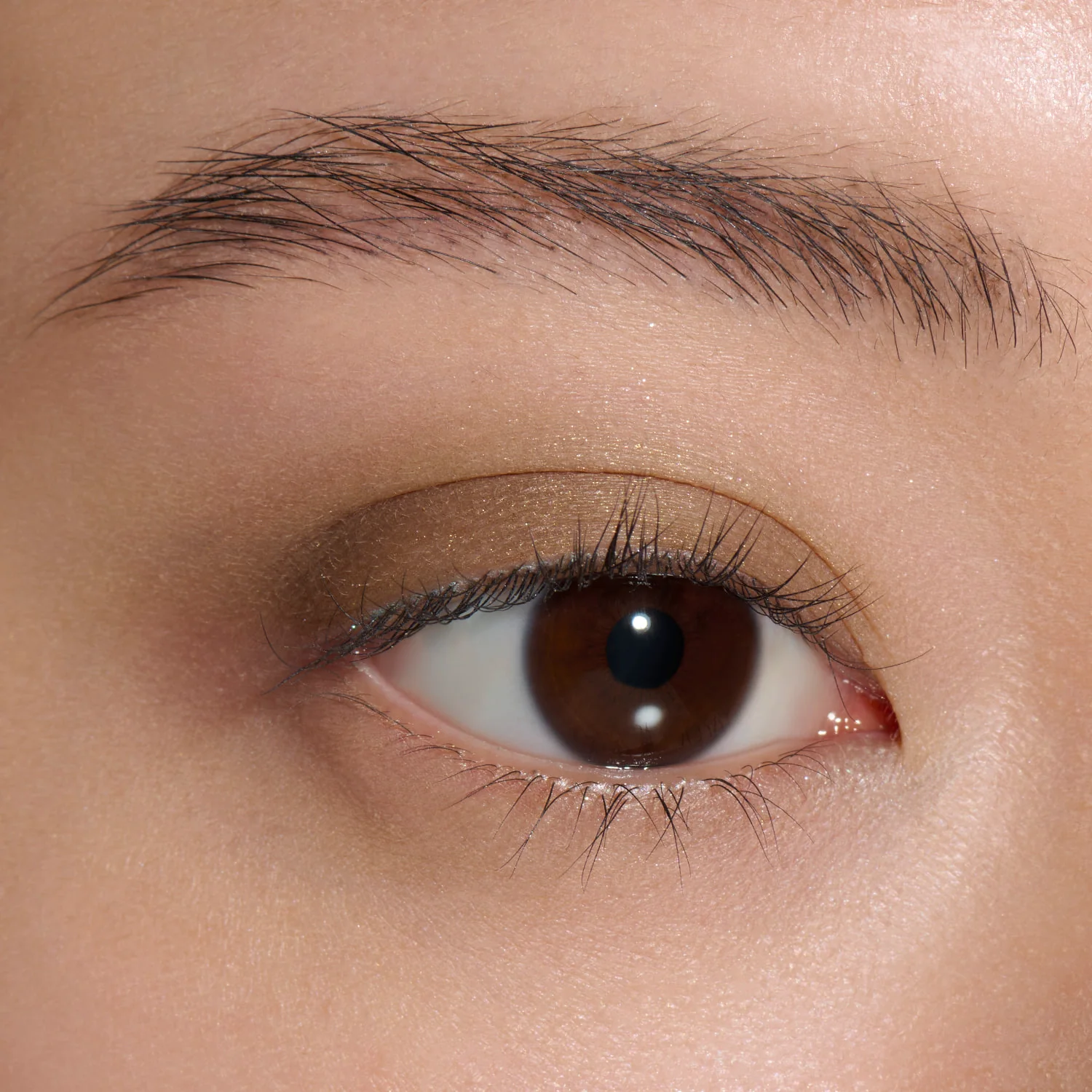 Lunasol Mono Eye Coloration - Image 14