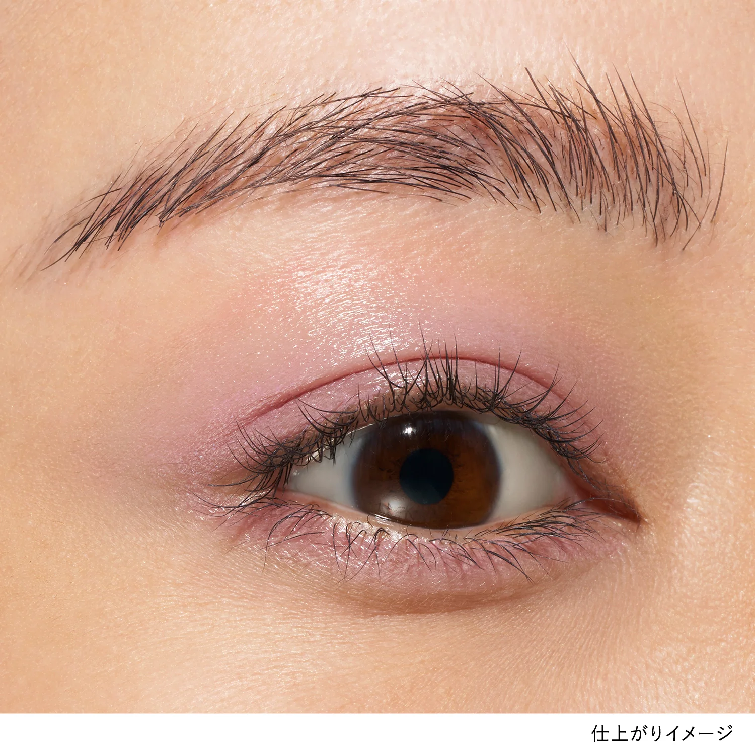 Lunasol Mono Eye Coloration - Image 34