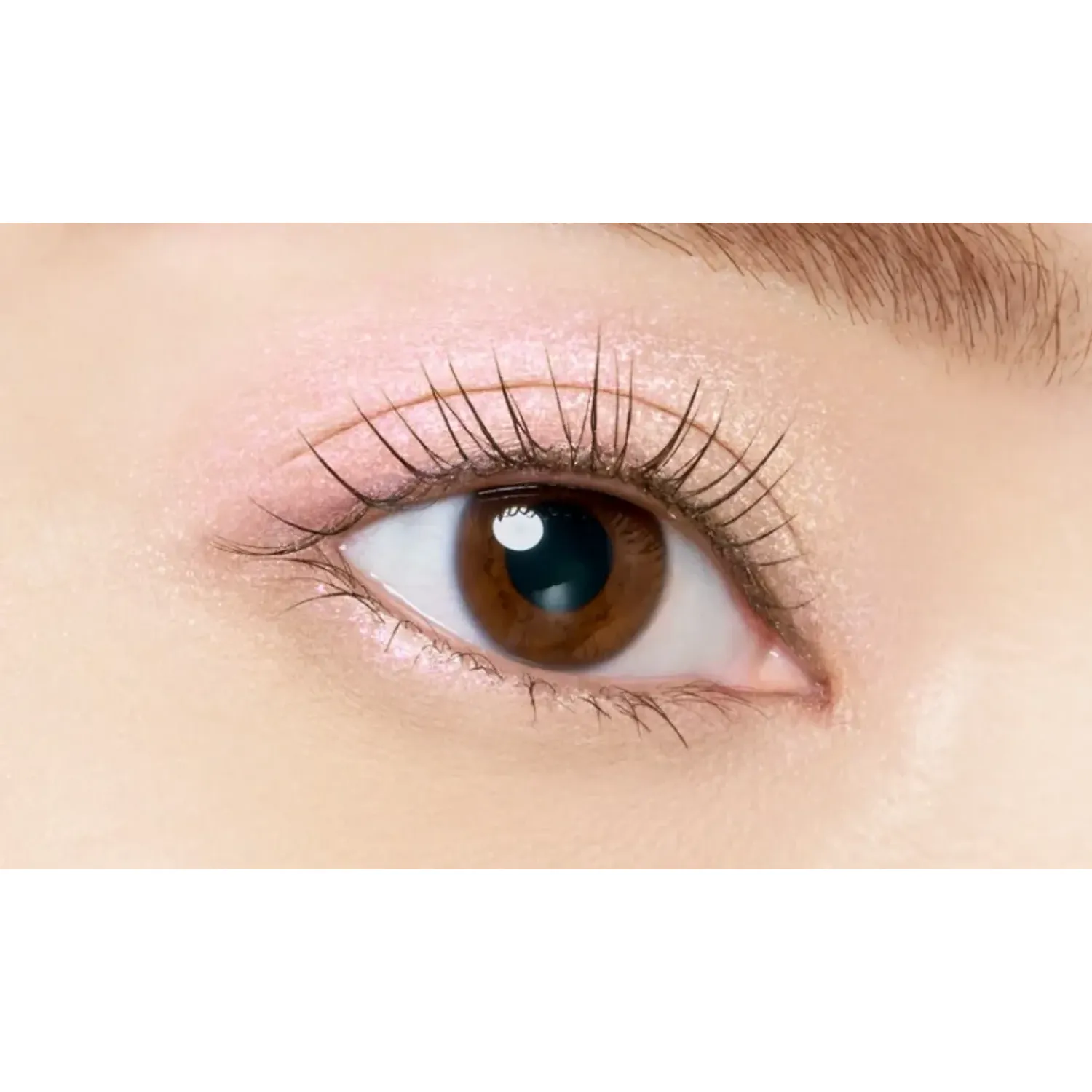 Maquillage Customizable Eye Color Single 2026 Summer Limited Edition Color - Image 3
