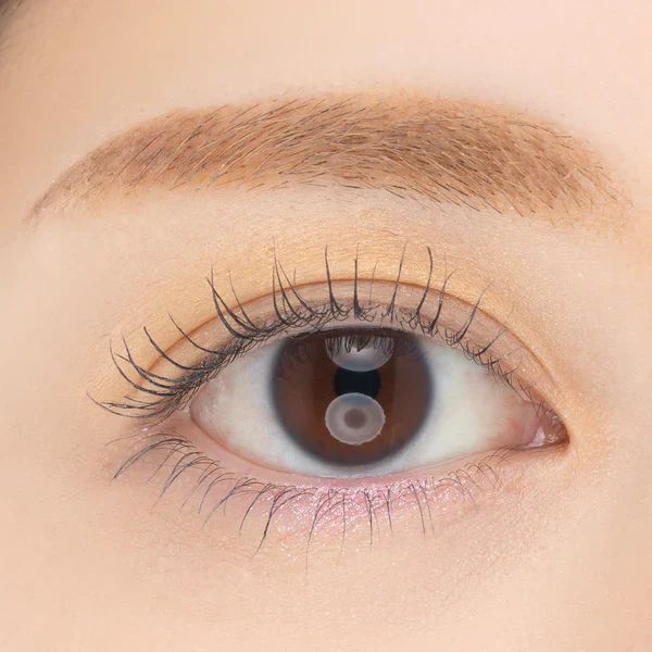 Paul & Joe Eye Design Palette - Image 22